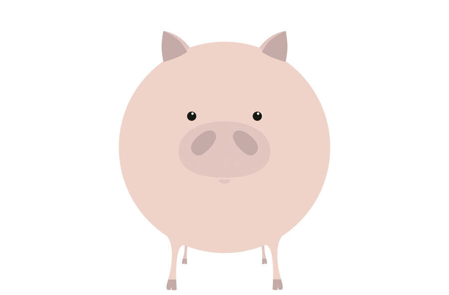 Structogram Grafik Schwein Aufbau