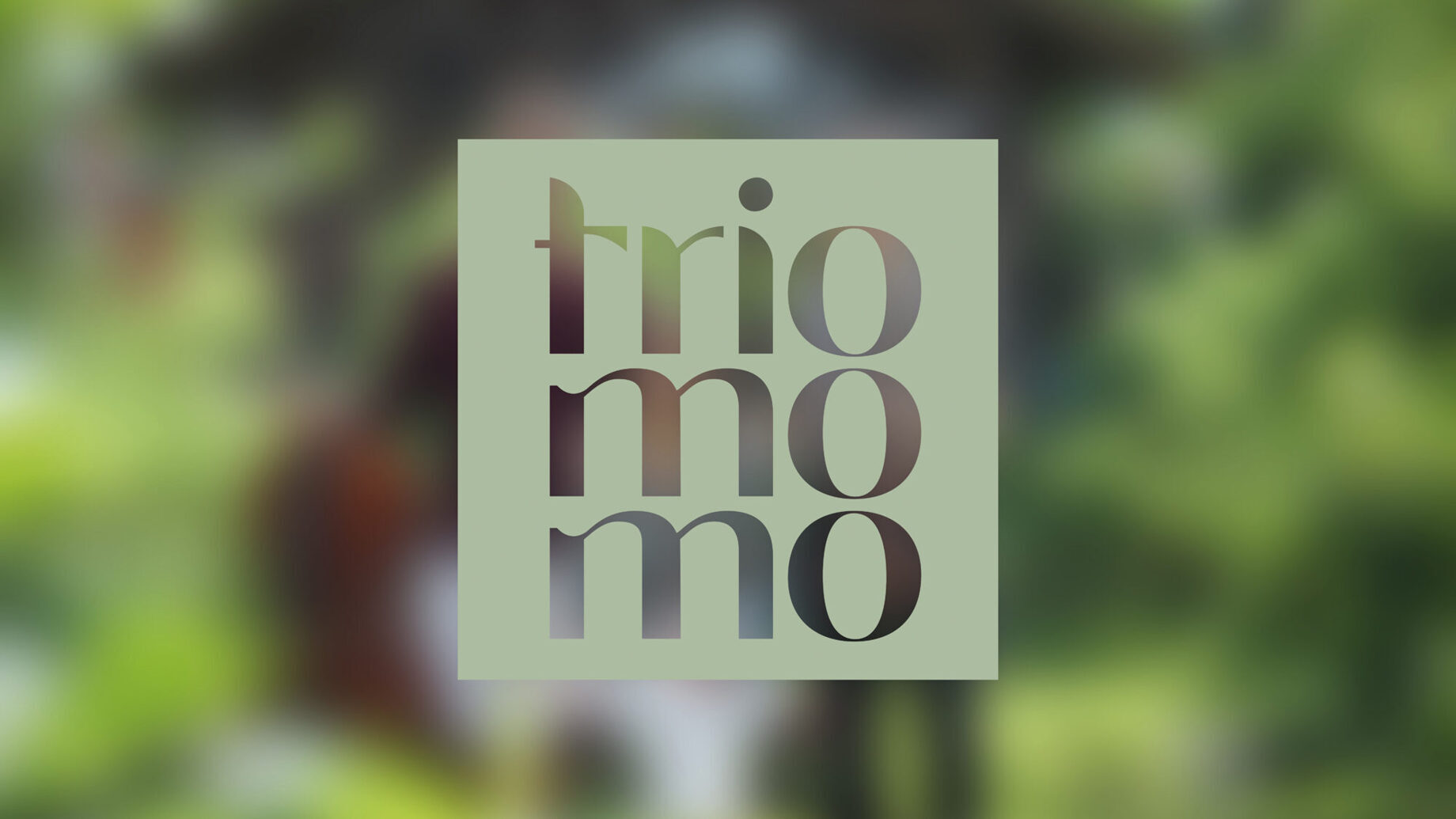 Logogestaltung trio momo